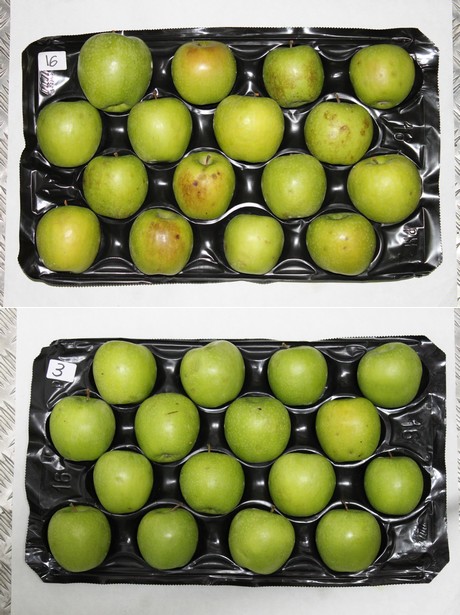 manzanas_decco