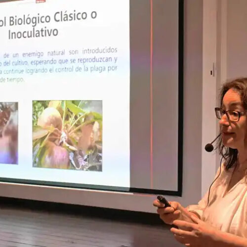 Marta Rodriguez, BioBichos SRL, CHile